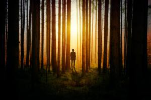 Man standing in the woods at sunset