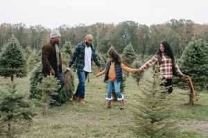A family chooses a fir tree to take home